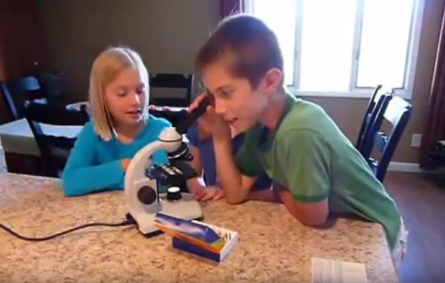 microscopios de juguete