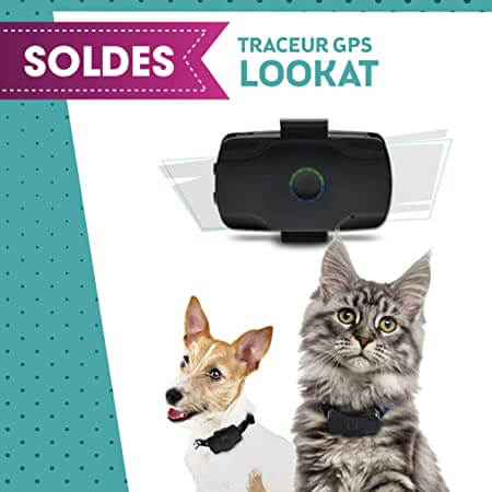 traceur-gps-chat-localiz