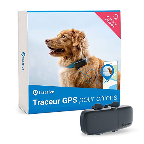 Tractive collier GPS pour chien, Traceur avec portée illimitée, Suivi d'activité, Étanche, Léger (Modèle 2022)